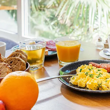 Ibis Styles Lyon Sud 3* برينيا