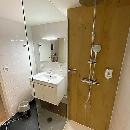 Ibis Styles Lyon Sud فندق برينيا
